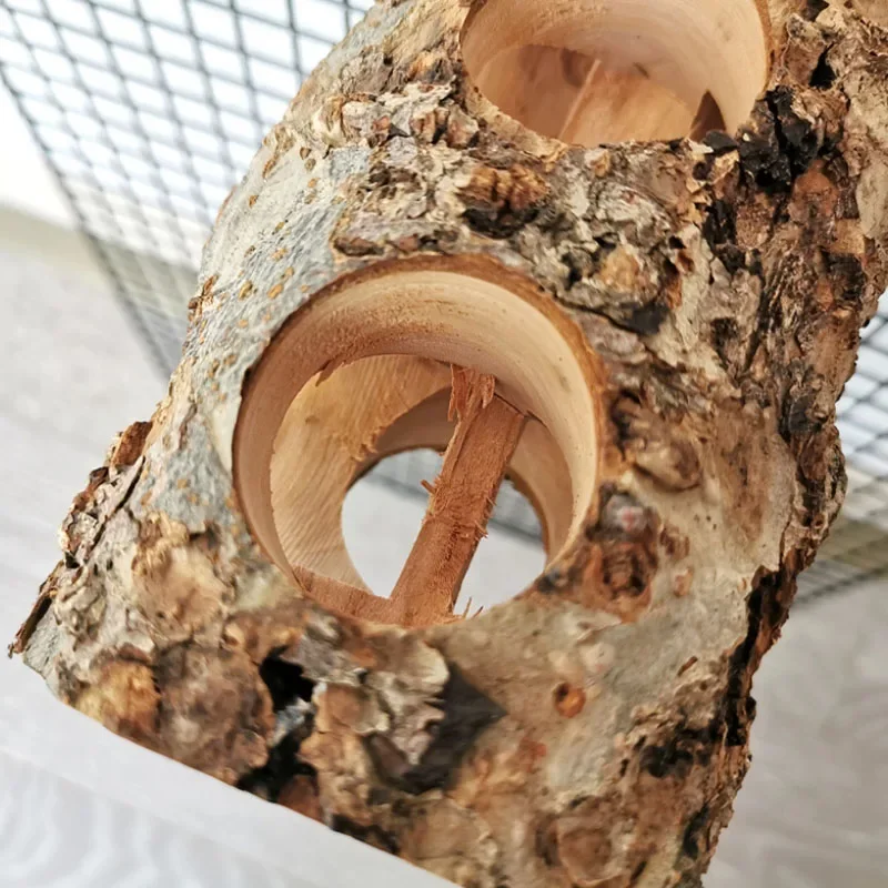 Pet Hamster Toy Natural Apple  - Woodworking Rabbet 评论和价格